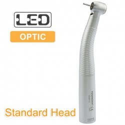 YUSENDENT® CX207-GK-SP Dental High Speed Handpiece Compatible KAVO (NO Quick Coupler)