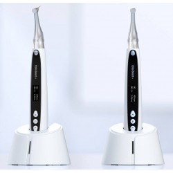 Woodpecker Endo Smart+ Dental Wireless Endodontic Motor with Reciprocating