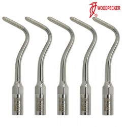 5X Woodpecker Dental Scaler Tip G21 Diamond Coated Dentine Polish Fit EMS PIEZON