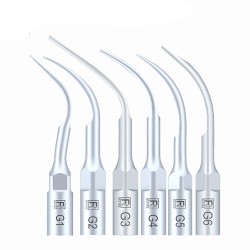 10 Pcs Dental Scaler Tips G1 G2 G3 G4 G5 G6 GD1 GD2 GD3 GD4 GD5 GD6 Compatible with EMS Woodpecker