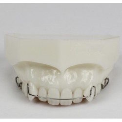 Orthodontic Demonstration Model for Maintenance M3007