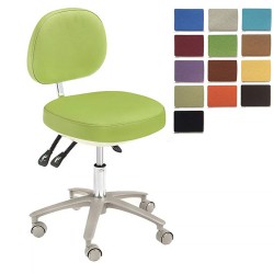 HS-6 Dental Ergonomic Dental Stool with Backrest Dentist Assistant Stool Microfiber Leather