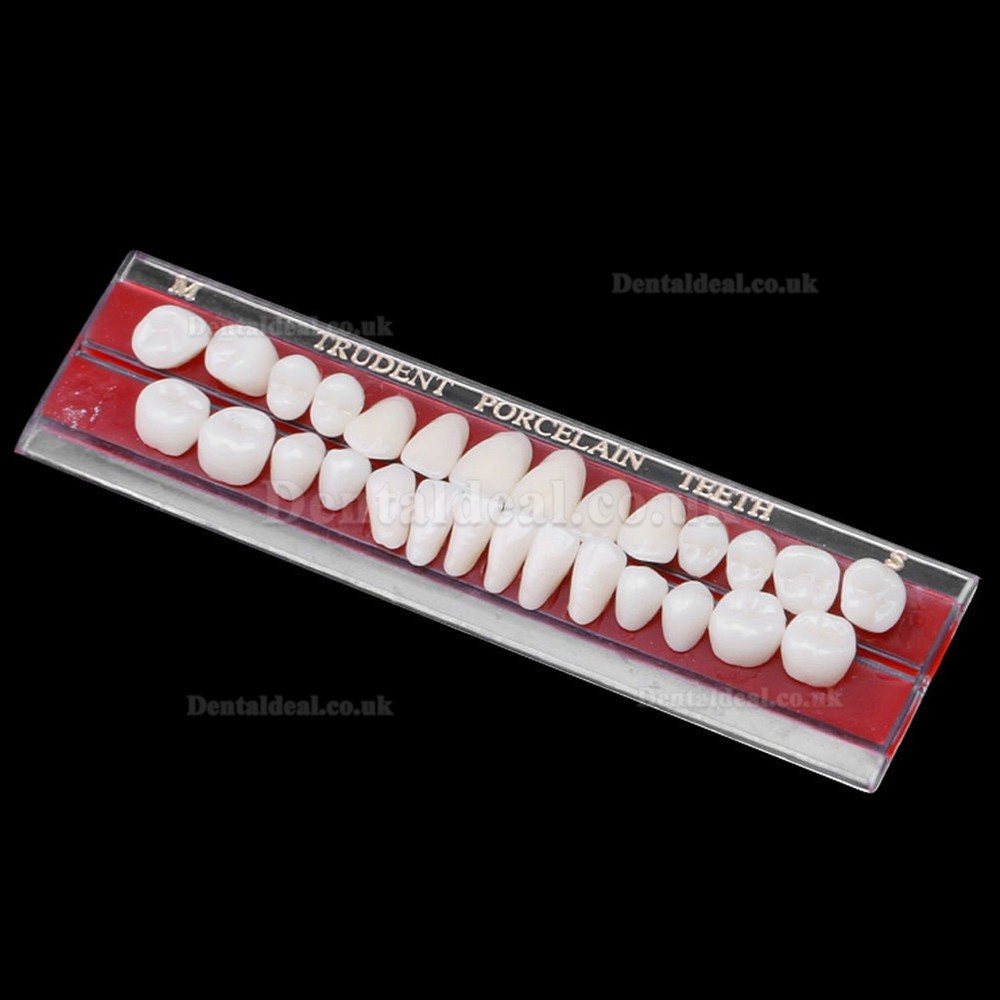 2Pcs Dental Porcelain Denture Material Alloy-Pin Teeth Colors Shade Guide 24#