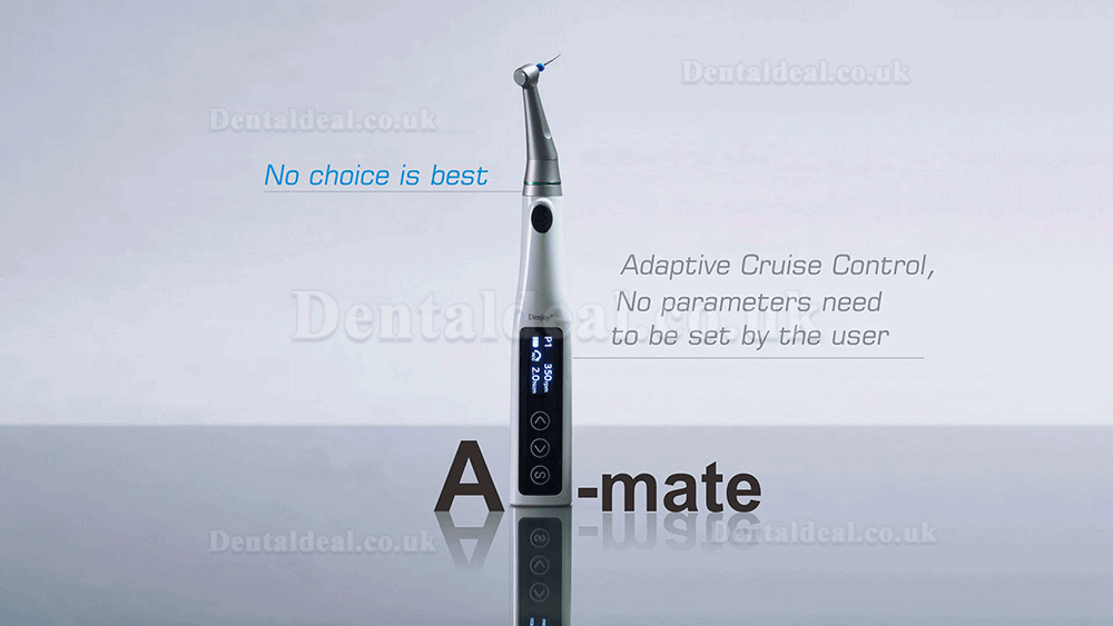 Denjoy Ai-Mate Brushless Endodontic Motor with Apex Locator & mini Contra-angle 6:1