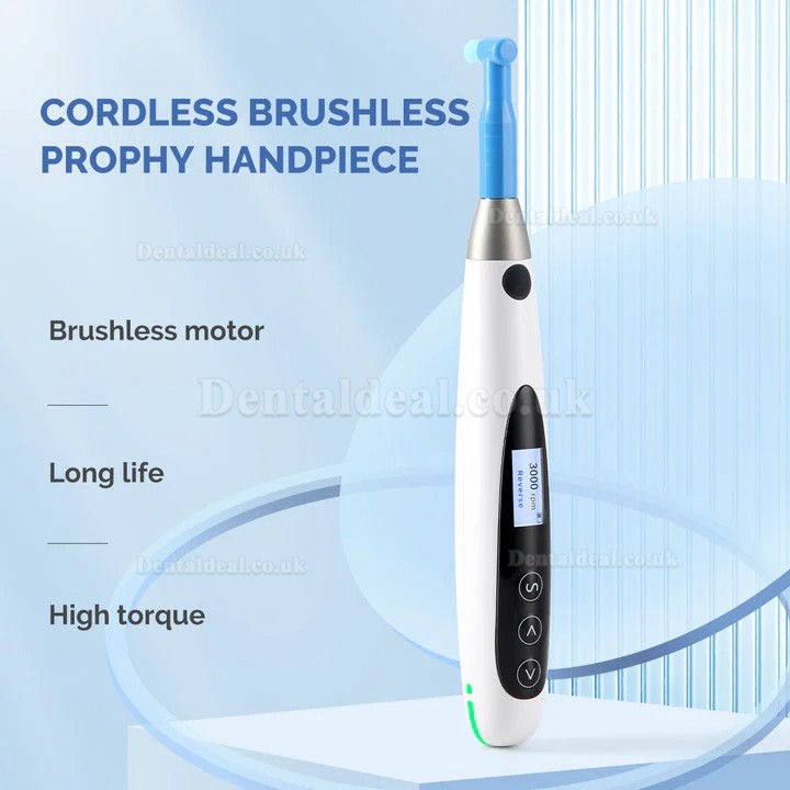 Electric Cordless Dental Hygiene Prophy Handpiece for Teeth Polishing 10 Speed Settings