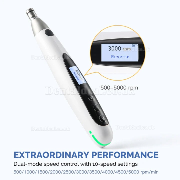 Electric Cordless Dental Hygiene Prophy Handpiece for Teeth Polishing 10 Speed Settings