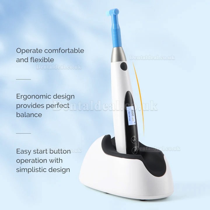 Electric Cordless Dental Hygiene Prophy Handpiece for Teeth Polishing 10 Speed Settings