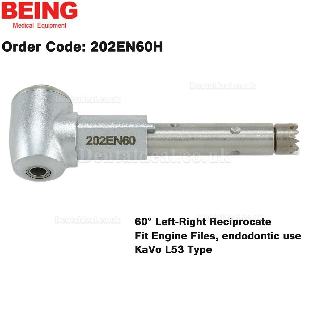 BEING Dental Contra Angle Head For Prophy Endodontic Handpiece KaVo L67 L80 L31