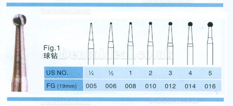 20 PCS FG012 1.6mm Dental Carbide Burs