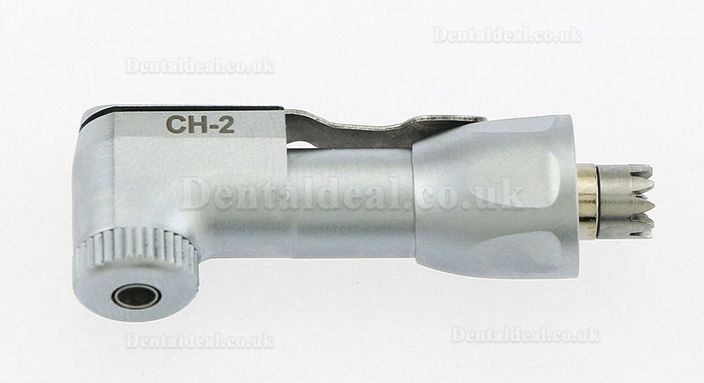 YUSENDENT COXO CH-2 Replacement Head For CX235C1-2 CX235C4-2 CX235C8-2