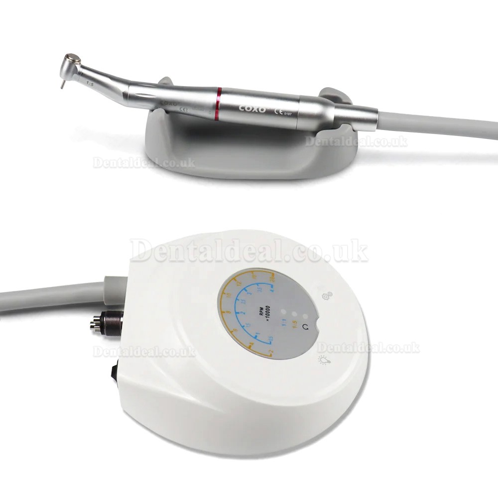 YUSENDENT COXO C-puma Mini Electric Dental Motor with 1:5 Contra Angle