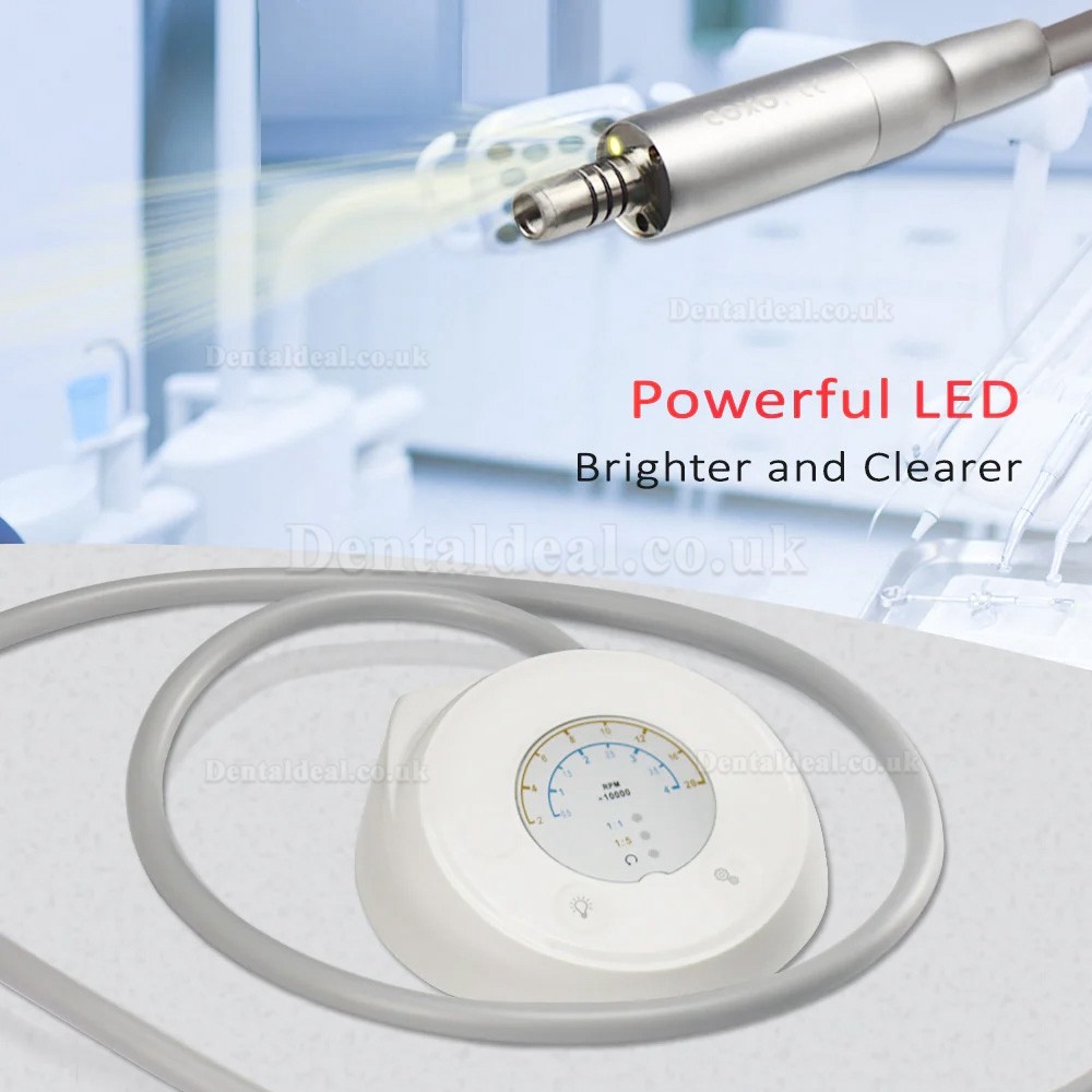 YUSENDENT COXO C-puma Mini Electric Dental Motor with 1:5 Contra Angle