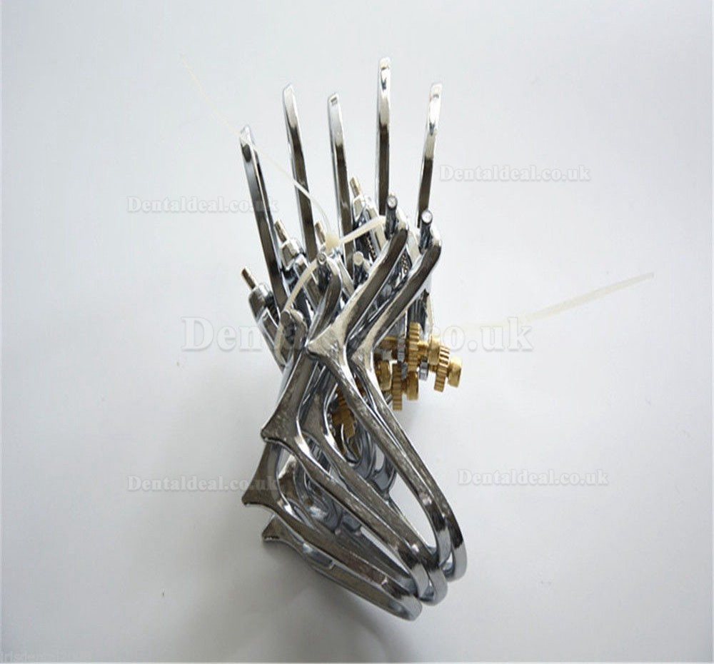 5 Pcs Dental Zinc Alloy Spring Articulator Denture Articulator