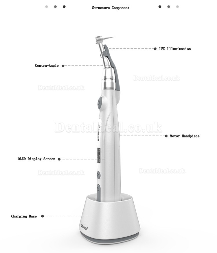 BYOND Dental Cordless Endodontic Motor with Apex Locator Endowell-1