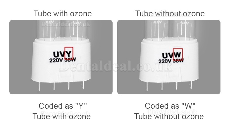 2020 New Air Purification System UVC Portable Disinfection Lamp With Ozone UV Lamp Ultraviolet Germicidal Light