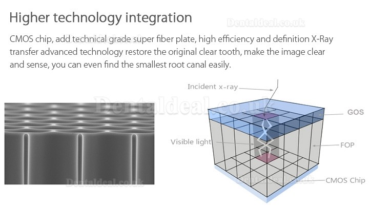 Handy HDR-600 Digital Dental X-Ray Imaging System X-Ray Sensor System
