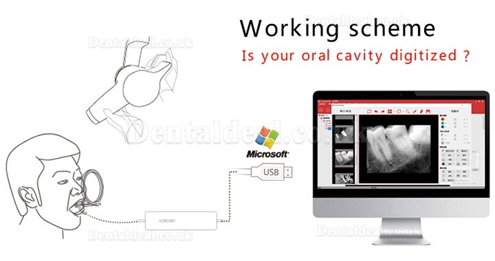 Handy HDR-600 Digital Dental X-Ray Imaging System X-Ray Sensor System