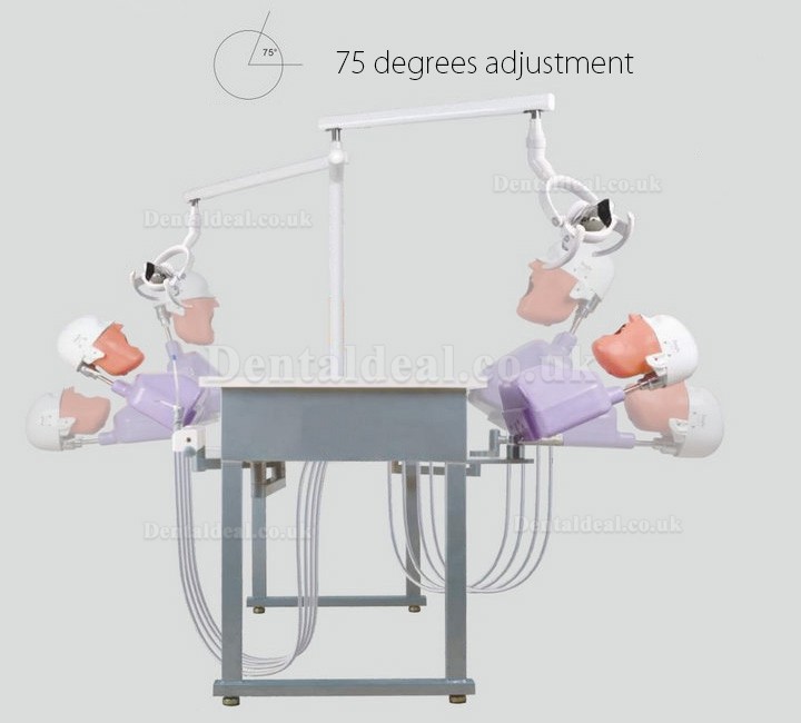 Jingle A4 Dental Double Teaching Manual Control Phantom Dental Simulation Unit