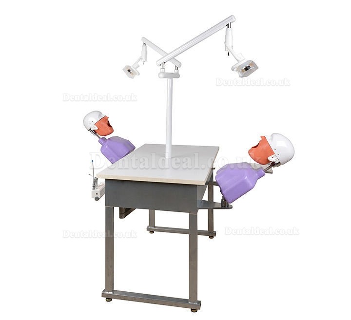 Jingle A4 Dental Double Teaching Manual Control Phantom Dental Simulation Unit