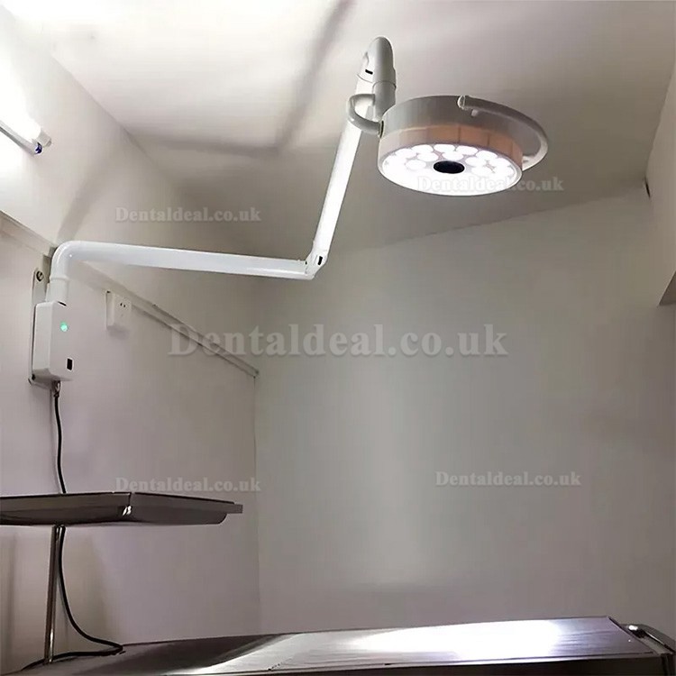 72W Wall-Mounted Dental Surgical Light Shadowless Exam Operating Lamp 24 LEDs