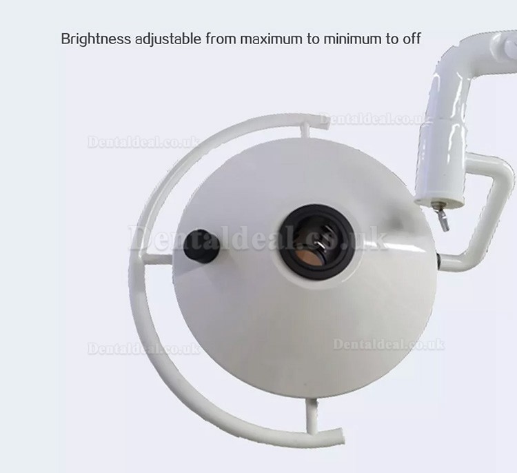 72W Wall-Mounted Dental Surgical Light Shadowless Exam Operating Lamp 24 LEDs