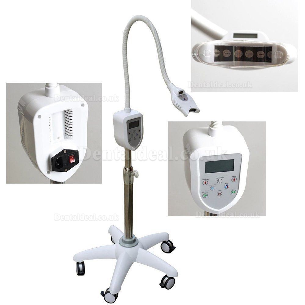 Magenta® Teeth Whitening Bleaching System LED Light MD669