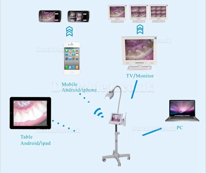 MLG® 8 inch LCD Monitor Teeth Whitening + Intraoral Camera M-86 Trolley-type With SD Card