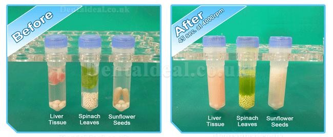 Zoneray Dental Lab Beadbug Microtube Homogenizer