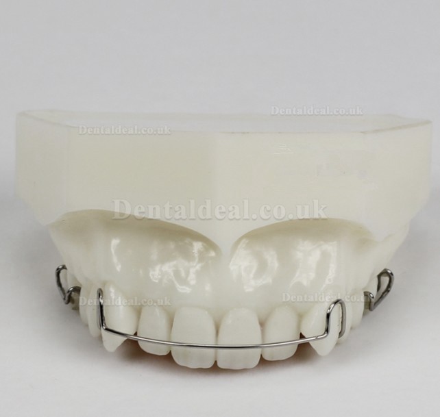 Orthodontic Demonstration Model for Maintenance M3007