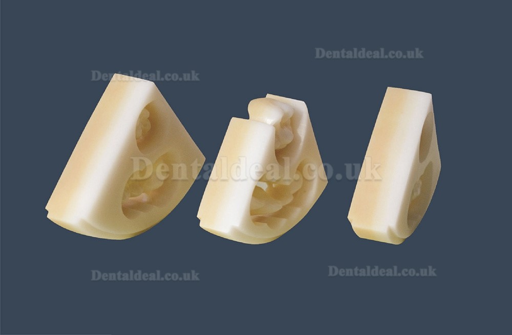 Zirconia Block PMMA Milling Burs Mololayer HT for Amann Girabbach system D shadpe 1350MPA