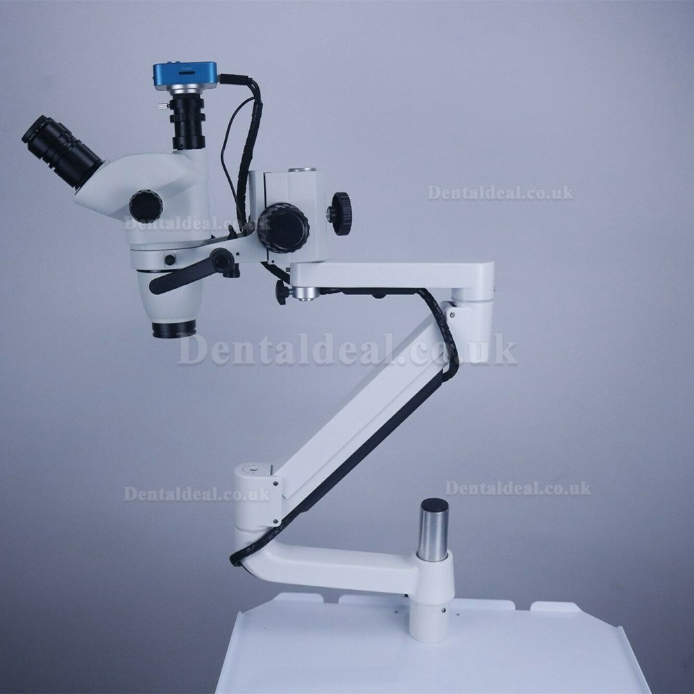 Dental Operating Microscope with Camera Rood Canal Therapy for Dental Chair Unit