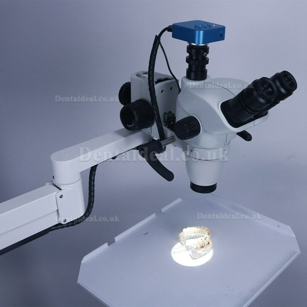 Dental Operating Microscope with Camera Rood Canal Therapy for Dental Chair Unit