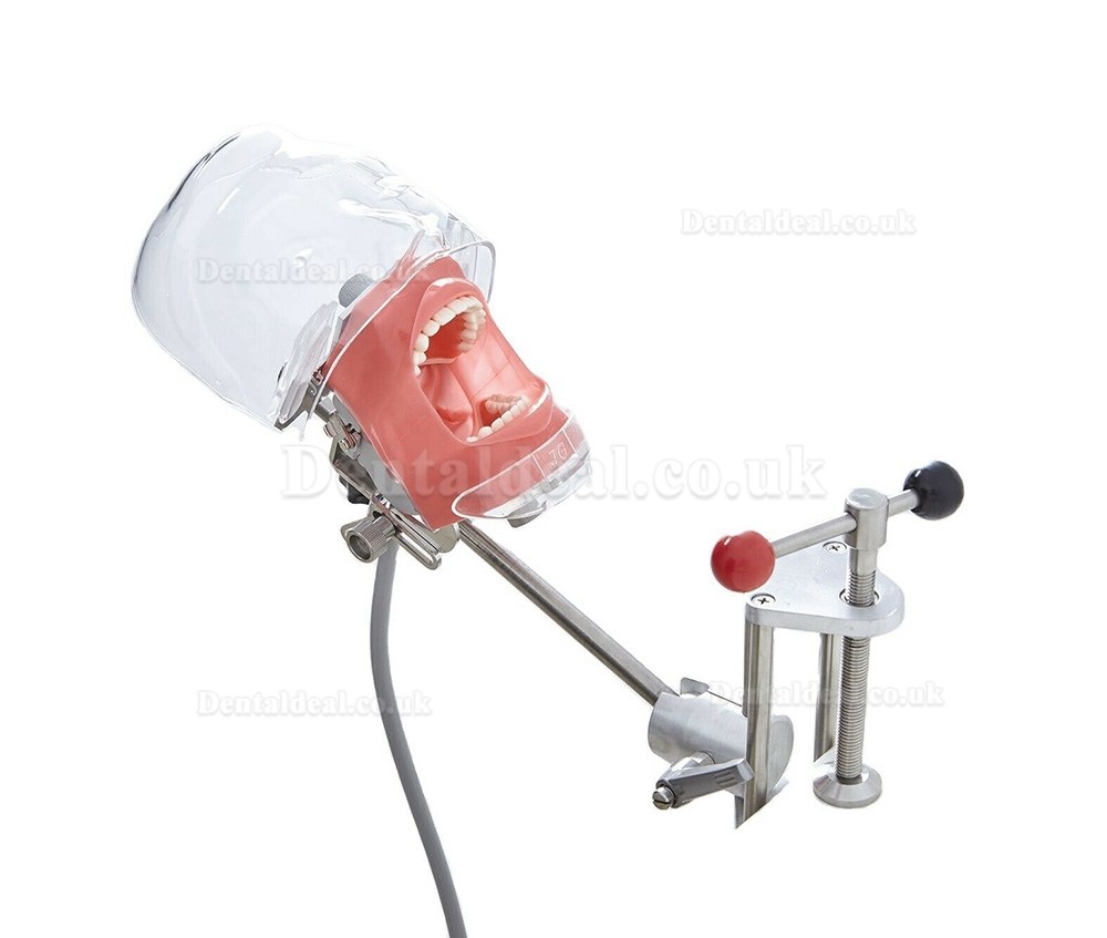 Dental Manikin Simulator Phantom Head for Teaching Training Practice Typodont Compatible with Nissin Kilgore