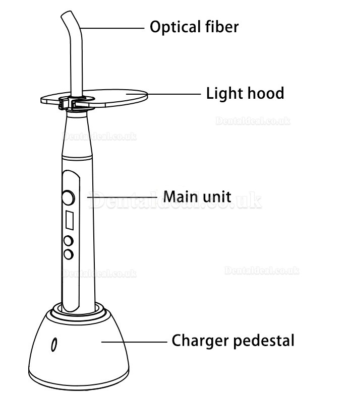 RebormEndo RLED 6 Led Curing Light for Porcelain Laminate Veneer Orthodontics