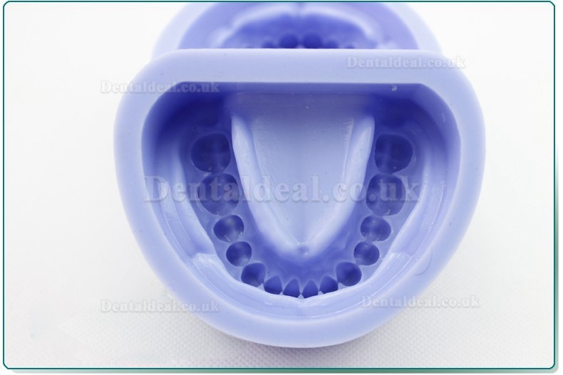 Silicone model for dental cavity preparation block