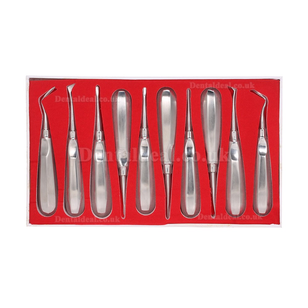 10Pcs Dental Root Elevator Orthodontic Instruments Tooth Loosening Root Extraction Kit