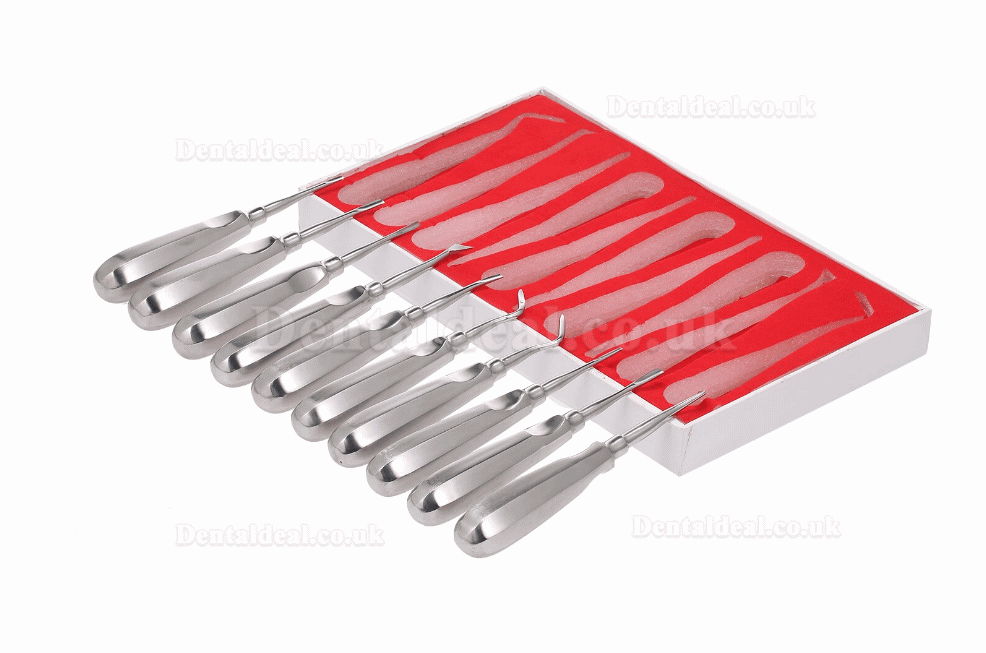 10Pcs Dental Root Elevator Orthodontic Instruments Tooth Loosening Root Extraction Kit