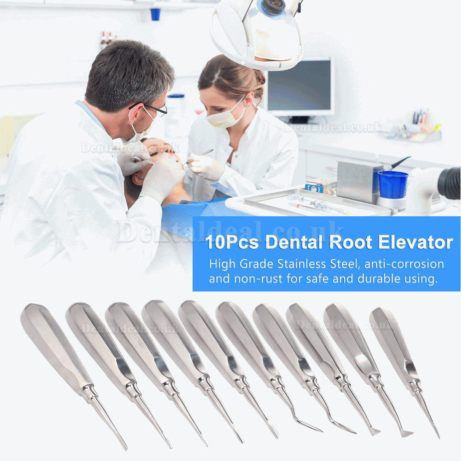 10Pcs Dental Root Elevator Orthodontic Instruments Tooth Loosening Root Extraction Kit