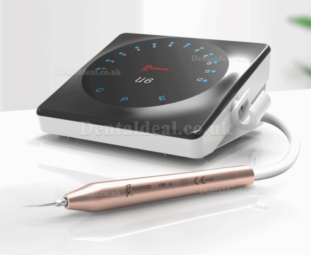 Woodpecker U6 LED Smart Ultrasonic Scaler Root Canal Treatment Touch Screen