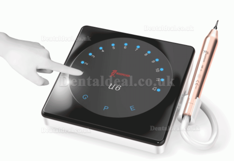 Woodpecker U6 LED Smart Ultrasonic Scaler Root Canal Treatment Touch Screen