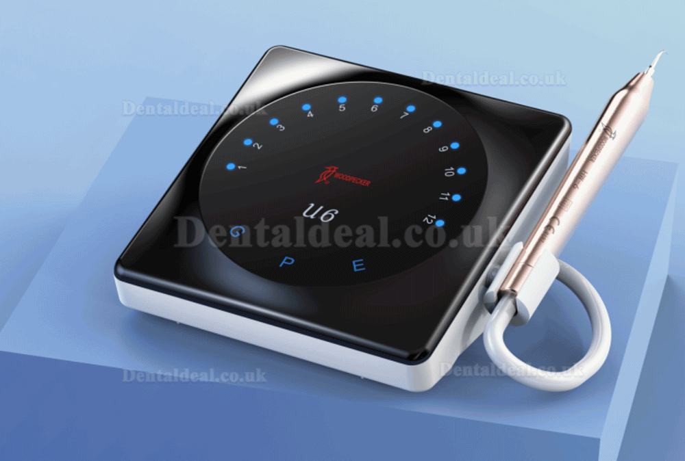 Woodpecker U6 LED Smart Ultrasonic Scaler Root Canal Treatment Touch Screen