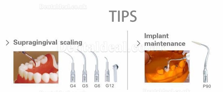 Woodpecker® UDS-P Dental LED Ultrasonic Scaler