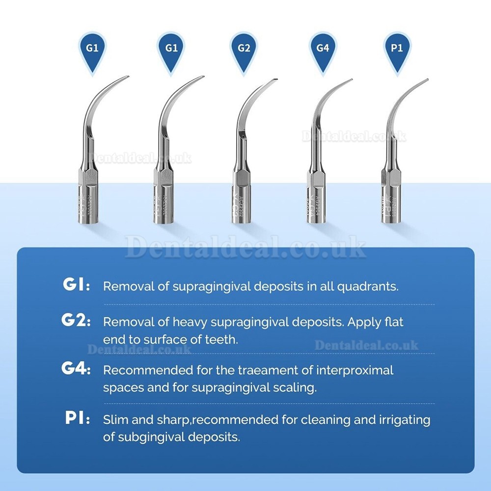 VRN DA-10 Dental Ultrasonic Scaler Machine DA-10 LED Detachable Handpiece