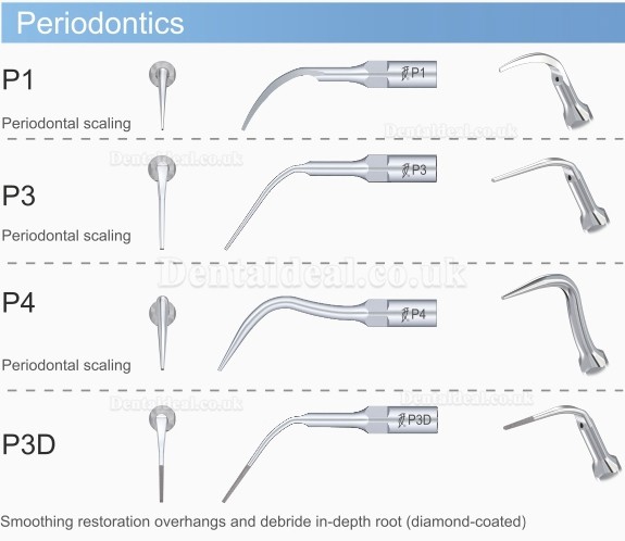 5Pcs/Pack Woodpecker P1 Ultrasonic Scaler Scaling Periodontics Tips EMS Compatible