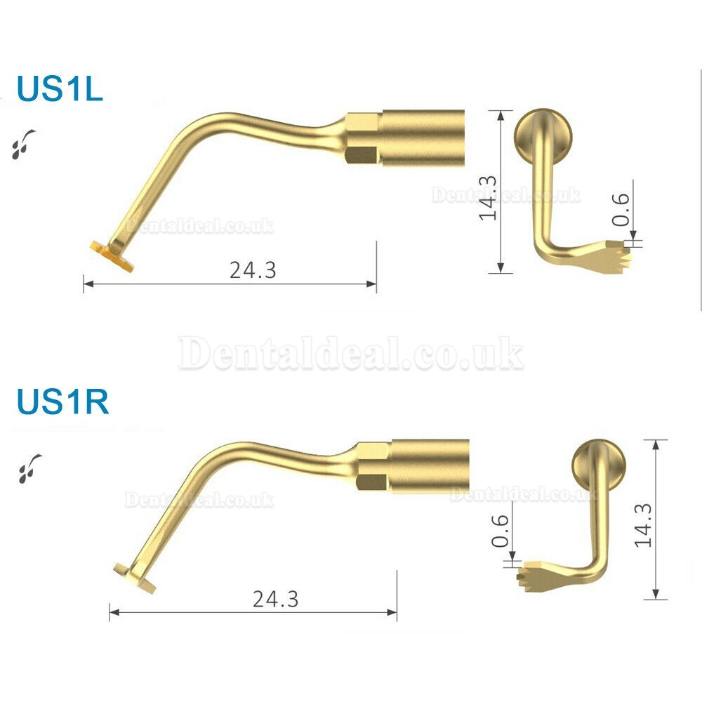 Woodpecker US1L US1R Ultrasurgery Bone Surgery Tip F/ Mectron PiezoSurgery Woodpecker Ultrasurger