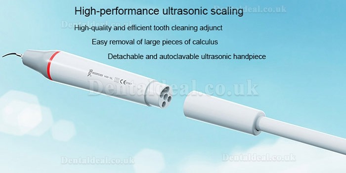 Woodpecker AP-B 2 In 1 Dental Air Flow Polisher & Piezo Ultrasonic Scaler With LED Light Fit EMS