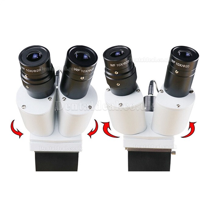 10X/15X/20X Dental Surgical Operating Endo Microscope with LED For Dental Chair Unit