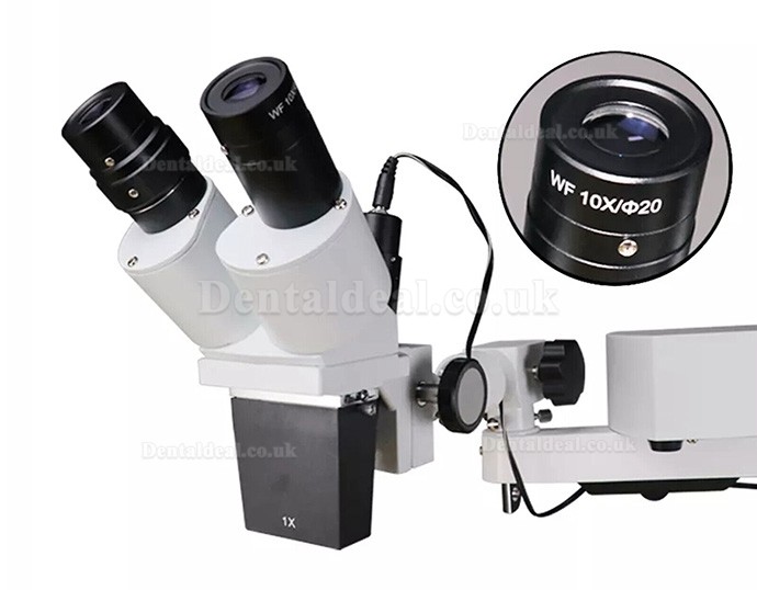 10X/15X/20X Dental Operating Endo Microscope Endodontic Surgical Microscope Table-mounted