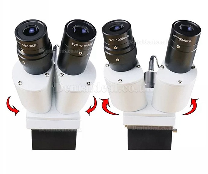 10X/15X/20X Dental Operating Endo Microscope Endodontic Surgical Microscope Table-mounted